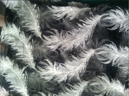 Άσπρο φτερών ύφασμα δαντελλών βαμβακιού organza κεντημένο σχέδιο για την ενδυμασία