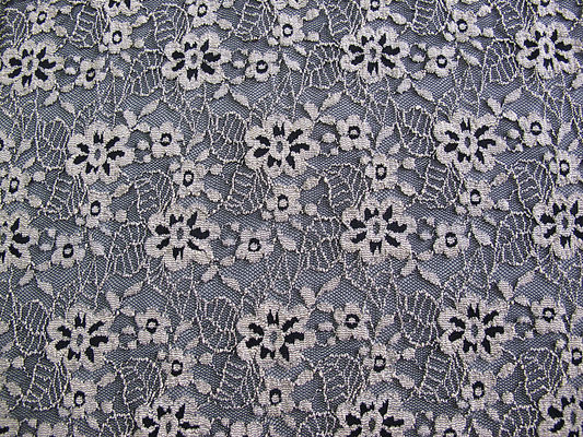 Floral βουρτσισμένη ελαστική Stretchable ΑΖΩΤΟΥΧΑ ελεύθερη βαφή Κύπρος-LW0652 ελεφαντόδοντου υφάσματος δαντελλών